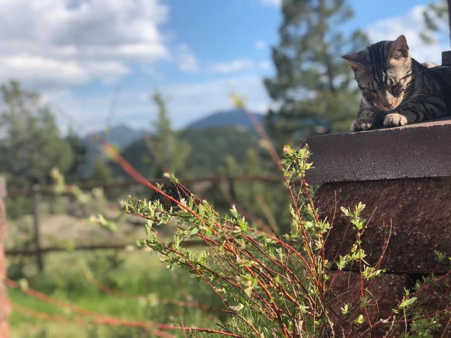 Boulder Best City And Nature With Lake And Trails Pets Ok 外观 照片
