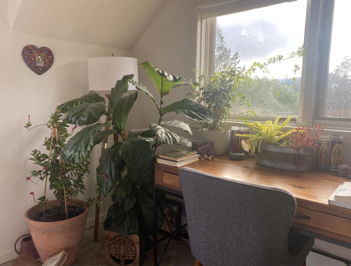 Boulder Best City And Nature With Lake And Trails Pets Ok 外观 照片