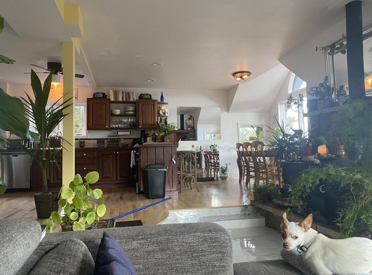 Boulder Best City And Nature With Lake And Trails Pets Ok 外观 照片